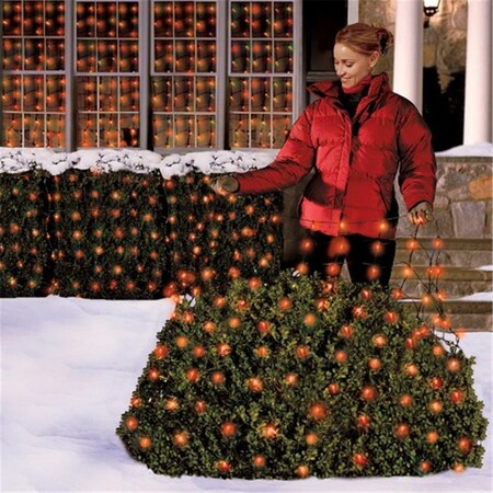 Celebrations Celebrations 40802-71 4 x 6 ft. 100 Red LED Net Light Set 9262528